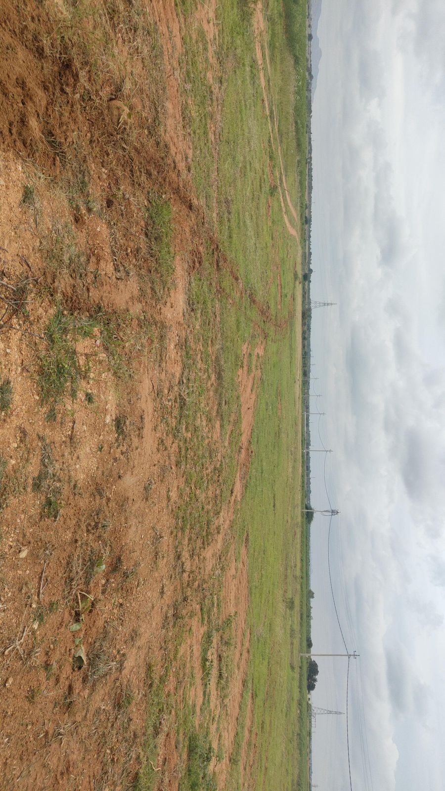 🆔 *property id 5181*  *4.39 Acre Main Road Facing Land for Sale – Pavagada*